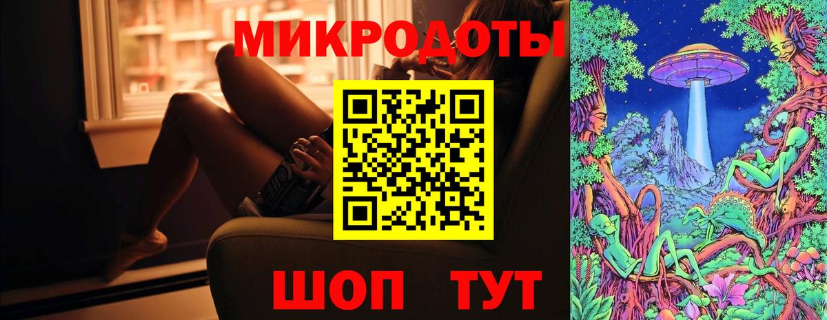 Псилоцибиновые грибы Psilocybine cubensis Каспийск